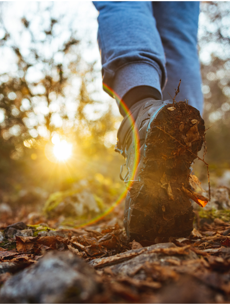 teambuilding wandelen in de natuur